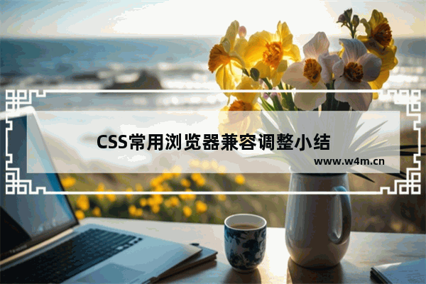 CSS常用浏览器兼容调整小结