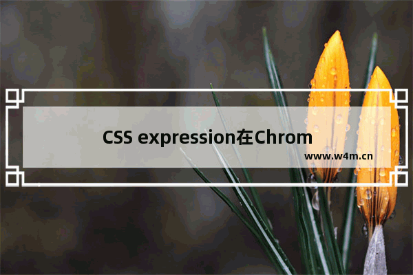 CSS expression在Chrome的问题