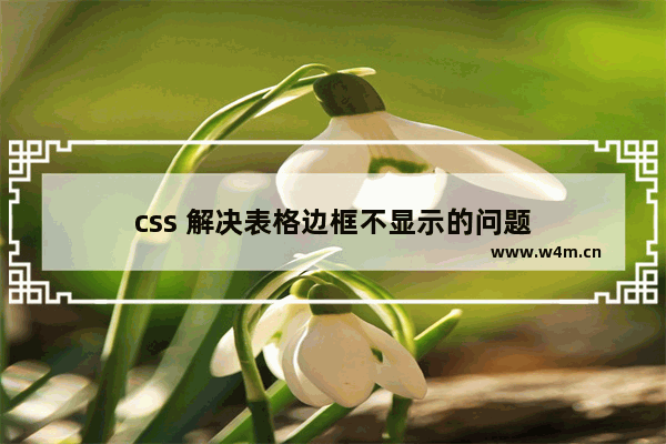 css 解决表格边框不显示的问题