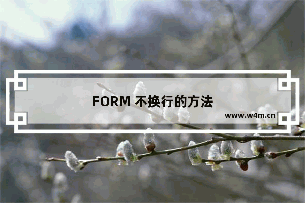 FORM 不换行的方法