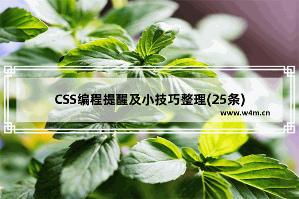 CSS编程提醒及小技巧整理(25条)