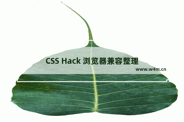 CSS Hack 浏览器兼容整理