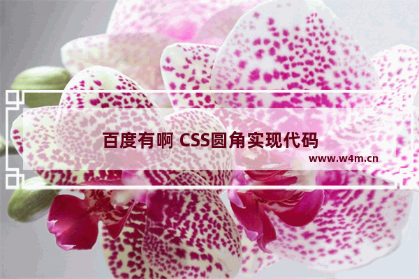 百度有啊 CSS圆角实现代码