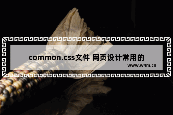 common.css文件 网页设计常用的基本css控制