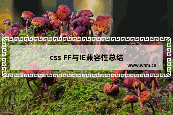 css FF与IE兼容性总结