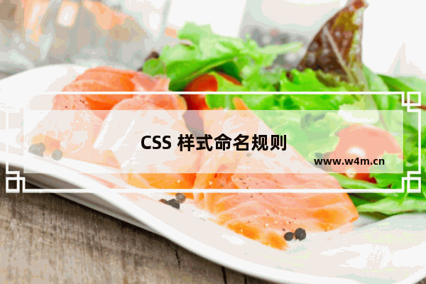 CSS 样式命名规则