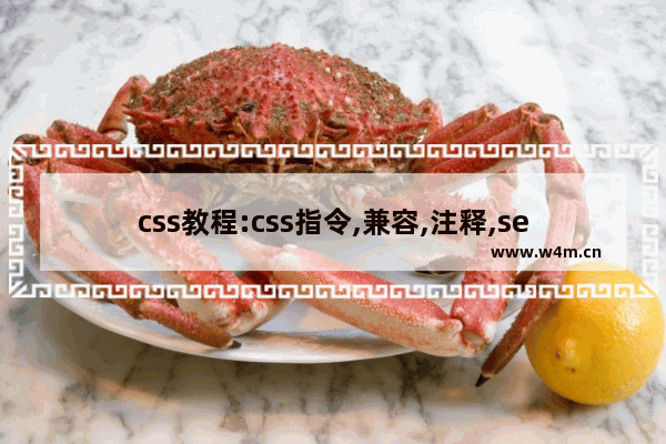 css教程:css指令,兼容,注释,selector