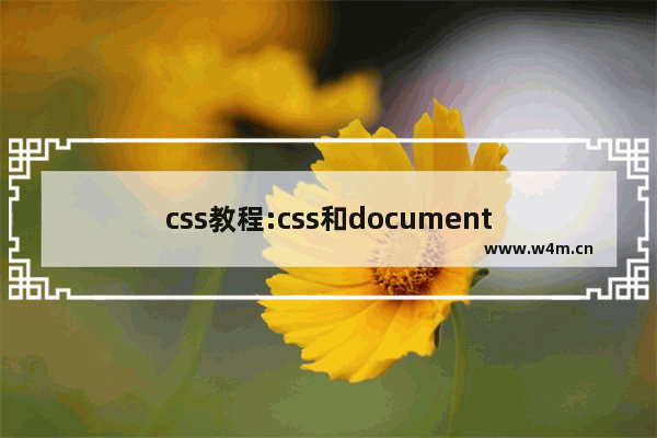 css教程:css和document