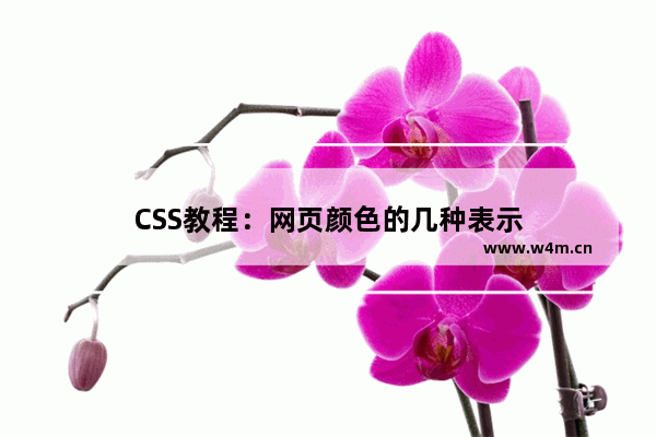 CSS教程：网页颜色的几种表示