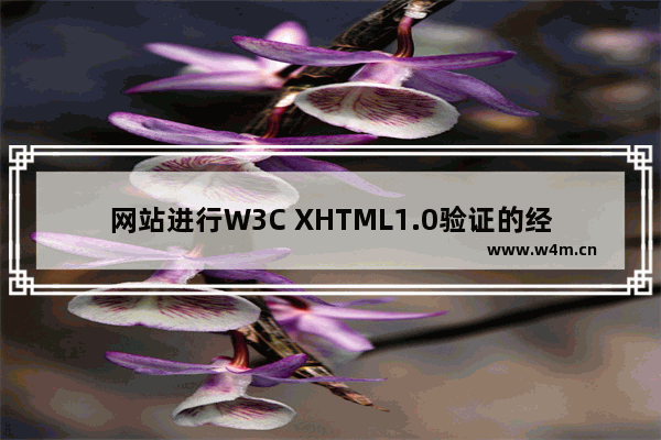 网站进行W3C XHTML1.0验证的经验