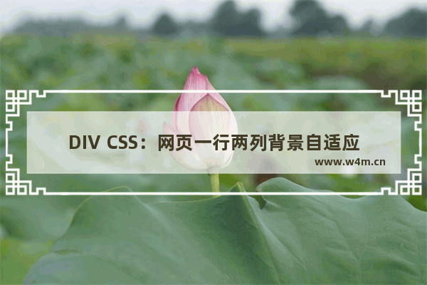 DIV CSS：网页一行两列背景自适应