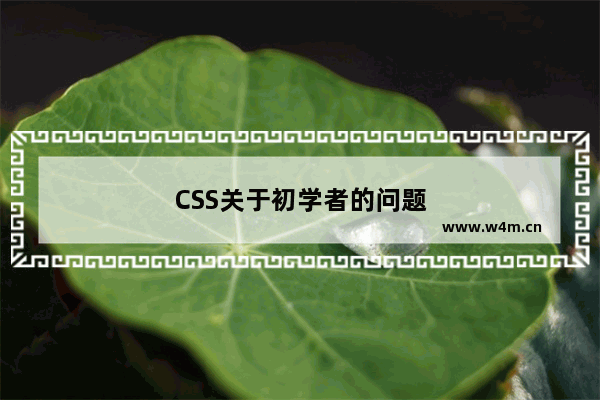 CSS关于初学者的问题