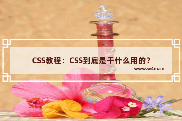 CSS教程：CSS到底是干什么用的？