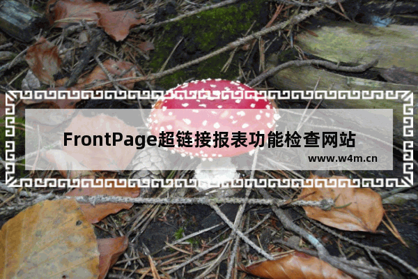 FrontPage超链接报表功能检查网站死链接