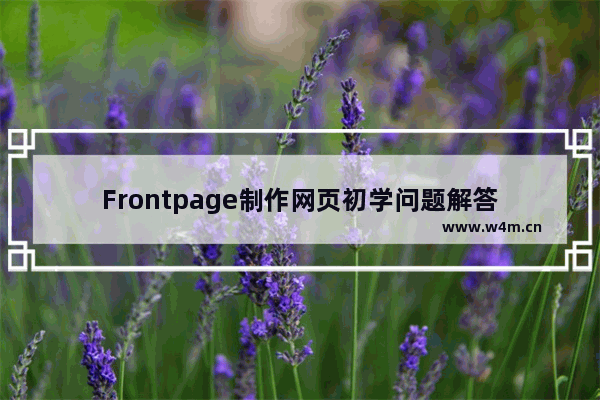 Frontpage制作网页初学问题解答