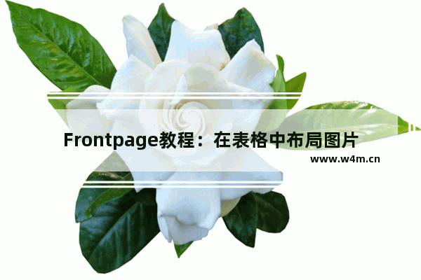 Frontpage教程：在表格中布局图片