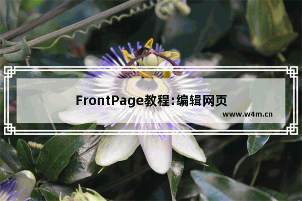 FrontPage教程:编辑网页