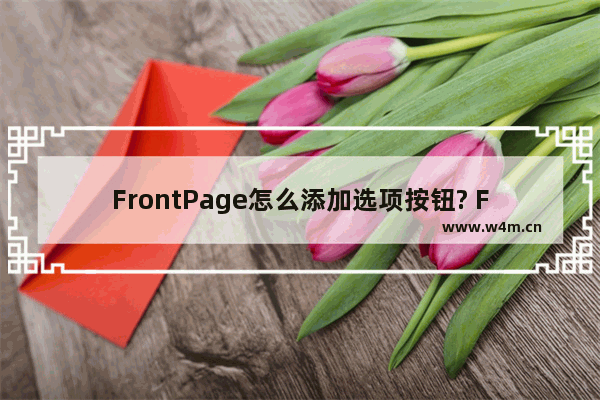 FrontPage怎么添加选项按钮? FrontPage选项按钮添加方法