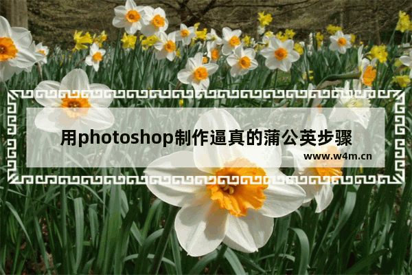 用photoshop制作逼真的蒲公英步骤第1/2页