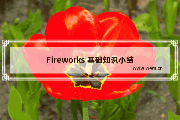 Fireworks 基础知识小结