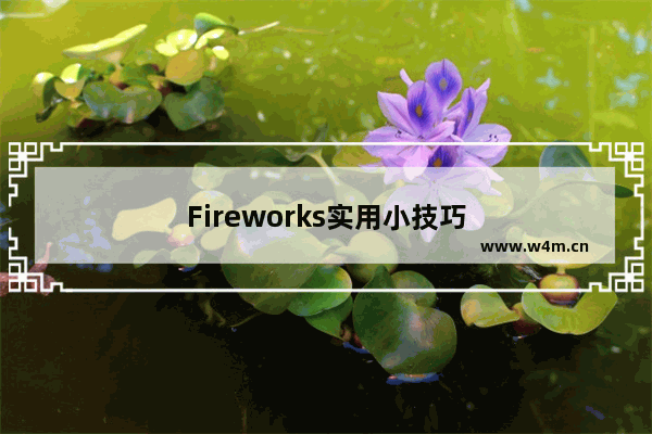 Fireworks实用小技巧