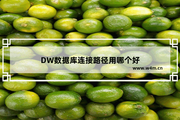 DW数据库连接路径用哪个好