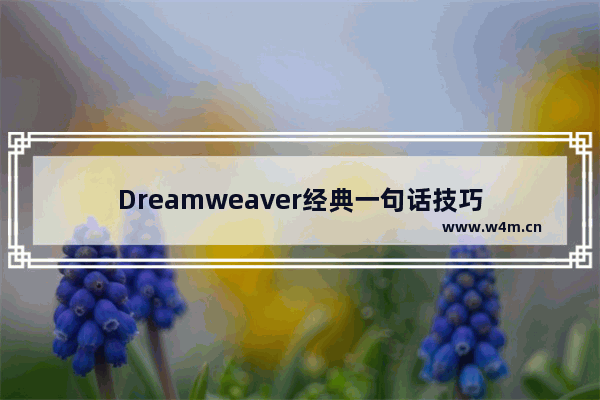 Dreamweaver经典一句话技巧