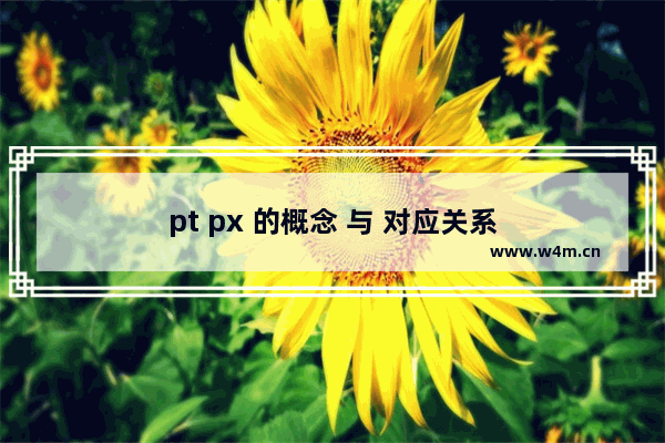 pt px 的概念 与 对应关系