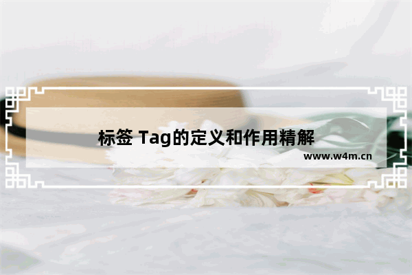 标签 Tag的定义和作用精解