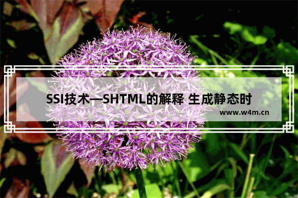 SSI技术—SHTML的解释 生成静态时用的最火