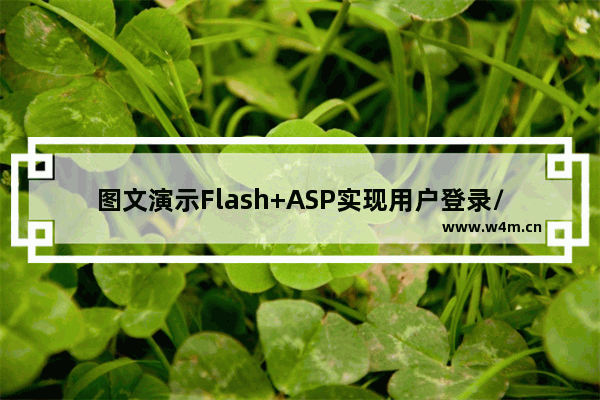 图文演示Flash+ASP实现用户登录/注册程序第1/2页