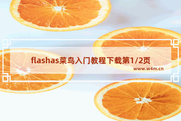 flashas菜鸟入门教程下载第1/2页