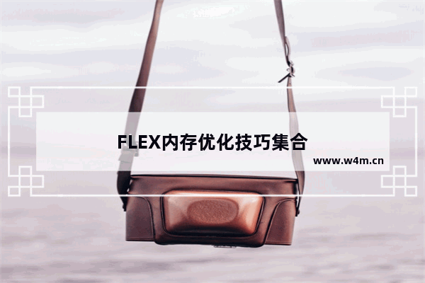 FLEX内存优化技巧集合