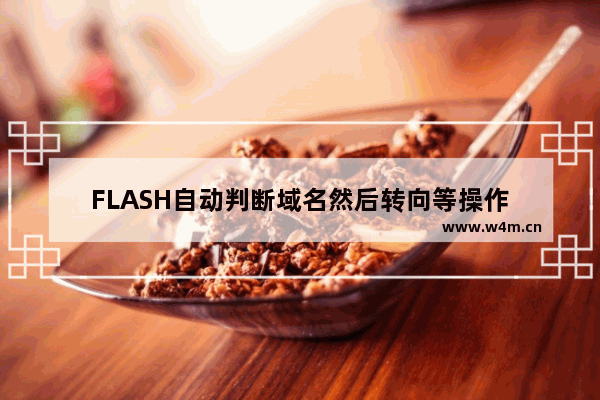 FLASH自动判断域名然后转向等操作