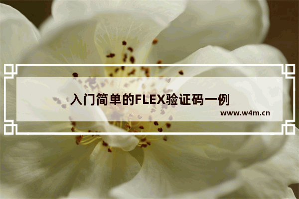 入门简单的FLEX验证码一例