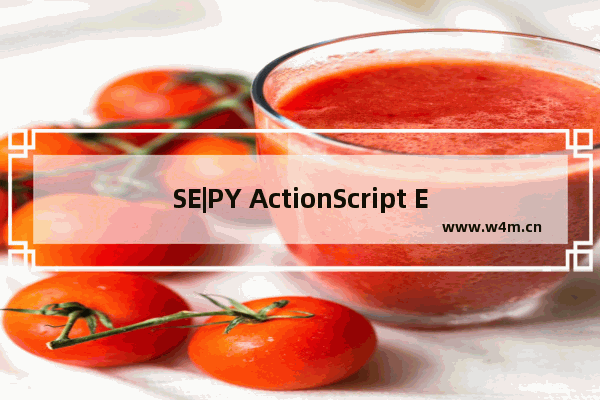 SE|PY ActionScript Editor v.1.5.3.6官方最新版的更新 支持中文 下载