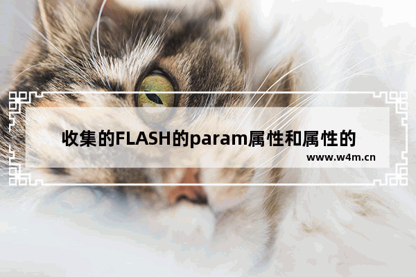 收集的FLASH的param属性和属性的详解