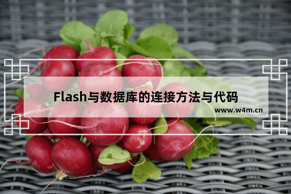 Flash与数据库的连接方法与代码