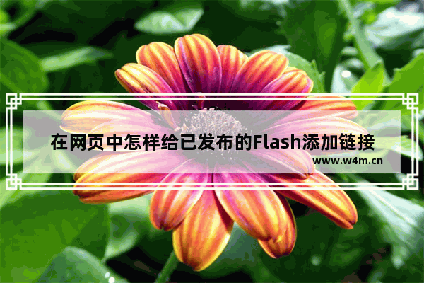 在网页中怎样给已发布的Flash添加链接的方法