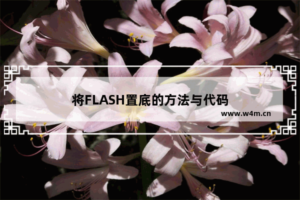 将FLASH置底的方法与代码