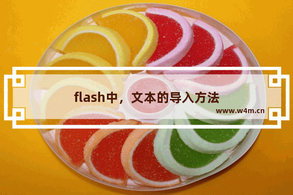 flash中，文本的导入方法