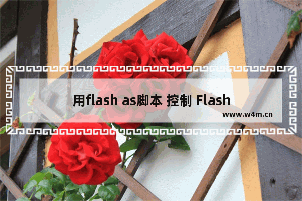 用flash as脚本 控制 Flash中文本框样式的代码