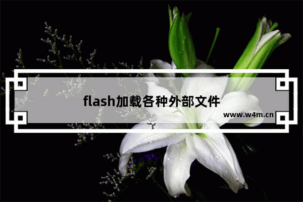 flash加载各种外部文件