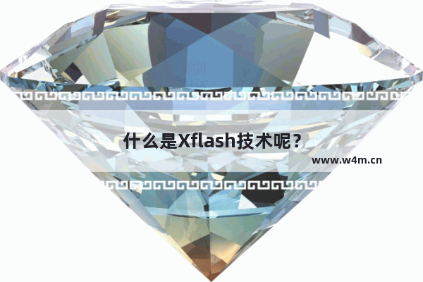 什么是Xflash技术呢？