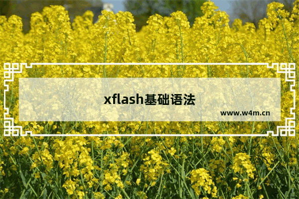 xflash基础语法