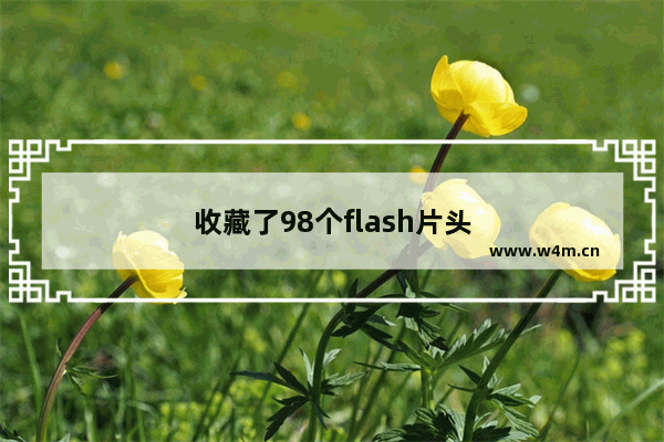 收藏了98个flash片头