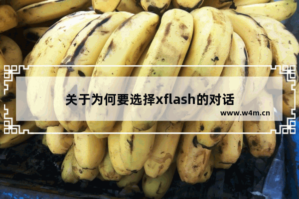 关于为何要选择xflash的对话