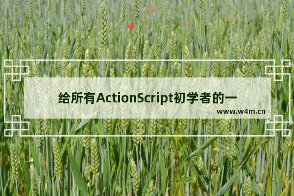 给所有ActionScript初学者的一点建议 经典