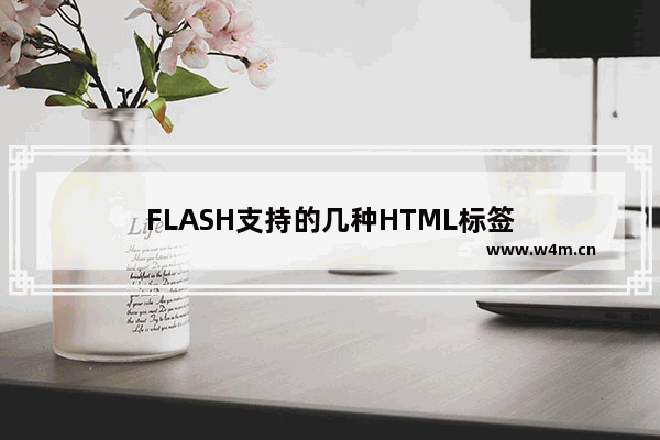 FLASH支持的几种HTML标签