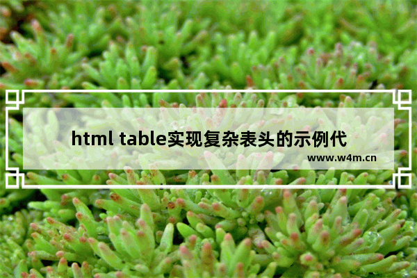 html table实现复杂表头的示例代码